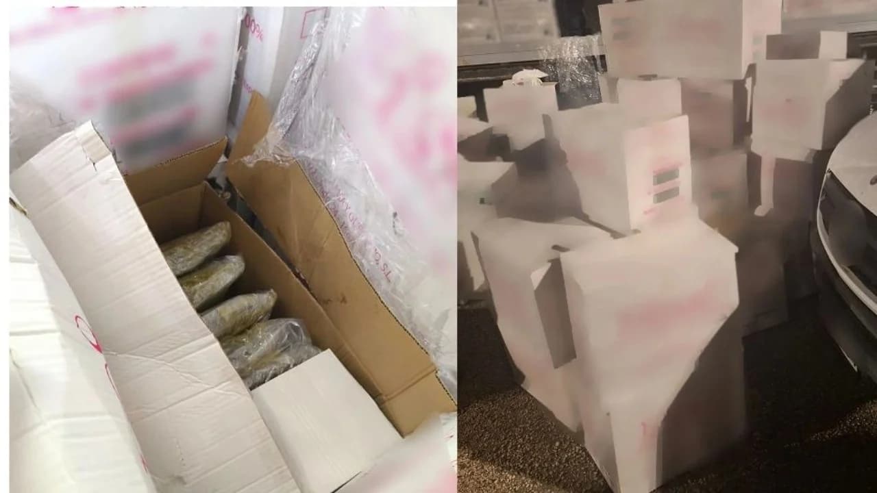 Goditet karteli i drogës në Greqi, kapen 500 kg kanabis në Igumenicë, arrestohet shoferi bullgar. Destinacioni ishte…
