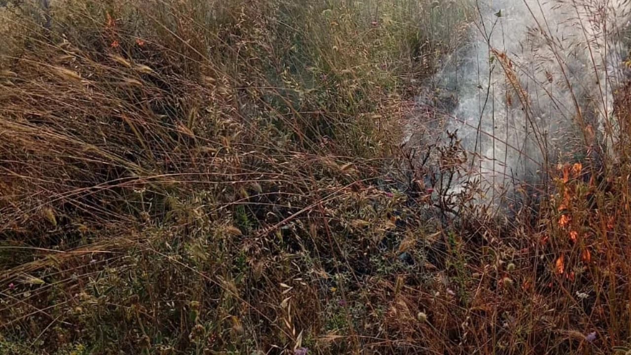Zjarr pranë repartit ushtarak në fshatin Arshi Lengo, dyshohet se u vu nga një çoban
