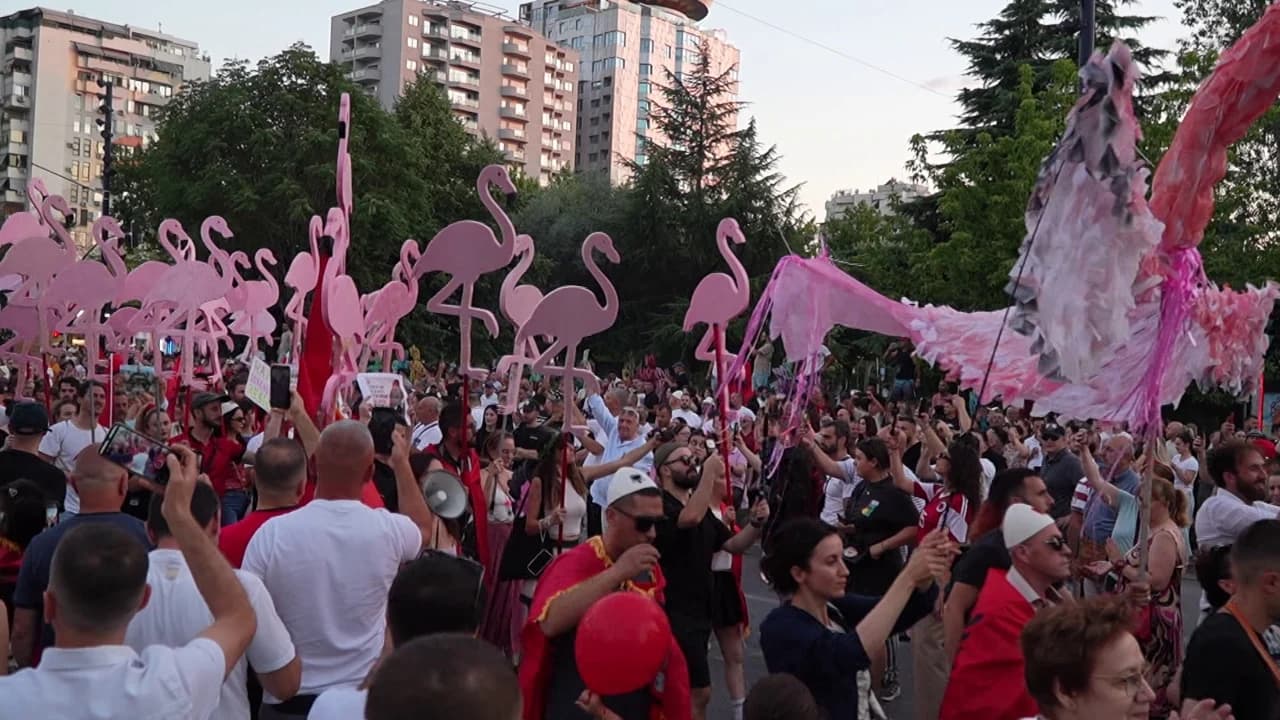 Sa dinë për flamingot? Protestuesit ndahen mes mbrojtjes së natyrës dhe revoltës politike: Qëllimi ynë është largimi i qeveritarëve