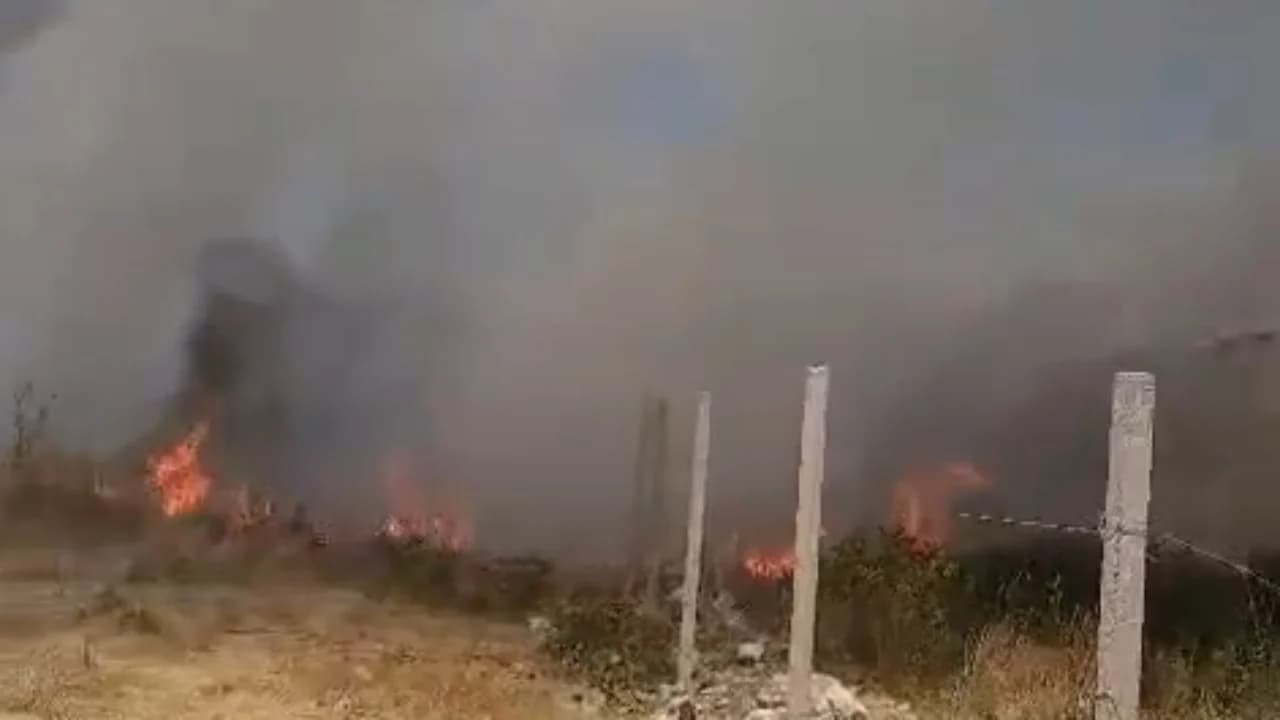 Periferia e Vlorës përfshihet nga flakët/ Erërat e forta afrojnë zjarrin pranë banesave, zjarrfikësit përballen me terren të vështirë