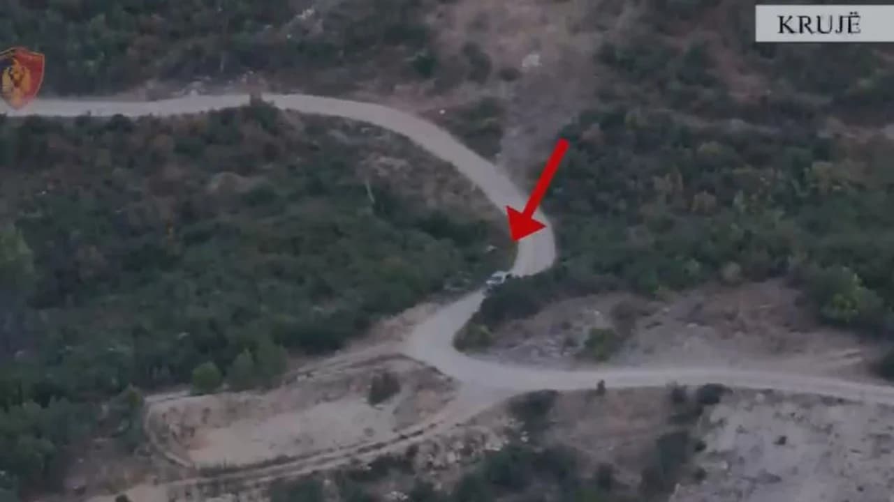 Kamera në mes të shkurreve, si u zbulua parcela me kanabis në një fshat të Fushë-Krujës, arrestohen dy persona