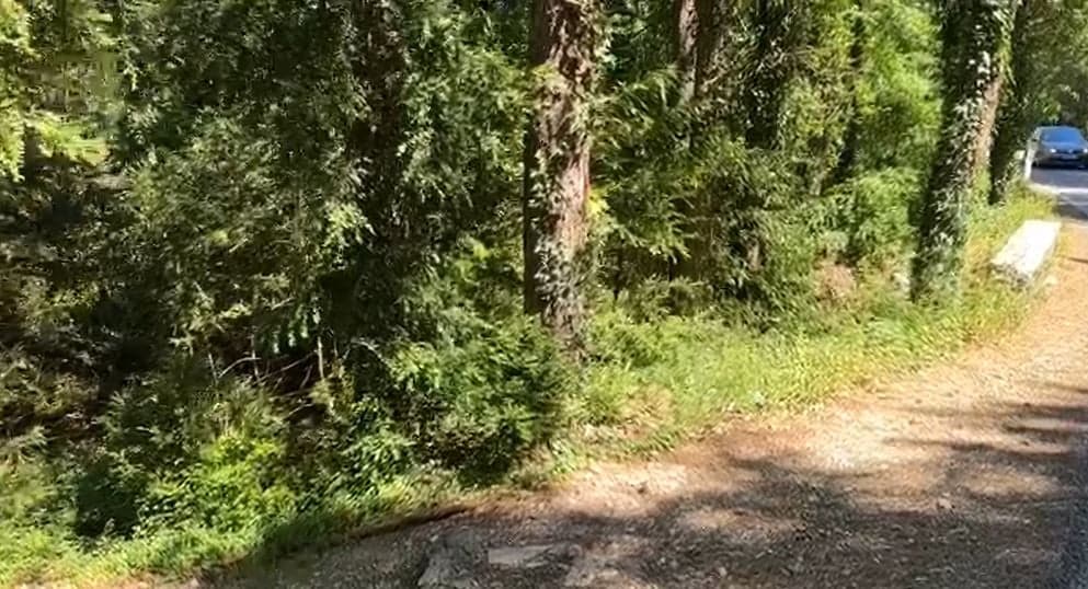 U ngjitën dhe mbetën të bllokuar në malin e Çikës, turistët gjermanë lëshojnë alarmin SOS, dyshohet se janë dëmtuar