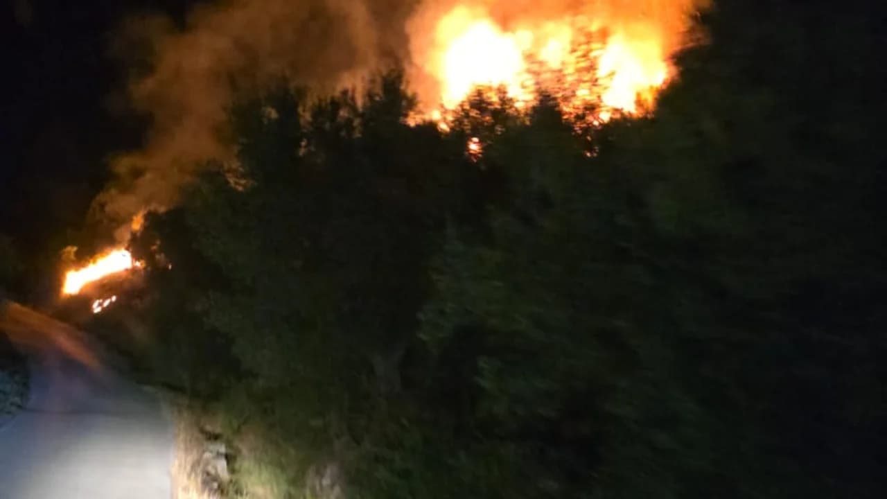 Zjarr në Drenovë të Mallakastrës, flakët përhapen pranë qendrës së fshatit, alarmohen banorët,