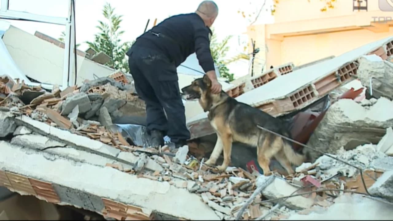 Brandi, heroi me katër putra i tërmetit të 26 nëntorit, përfundoi në ankand pas 9 vitesh shërbim në polici dhe e çuan në strehën e qenve endacakë