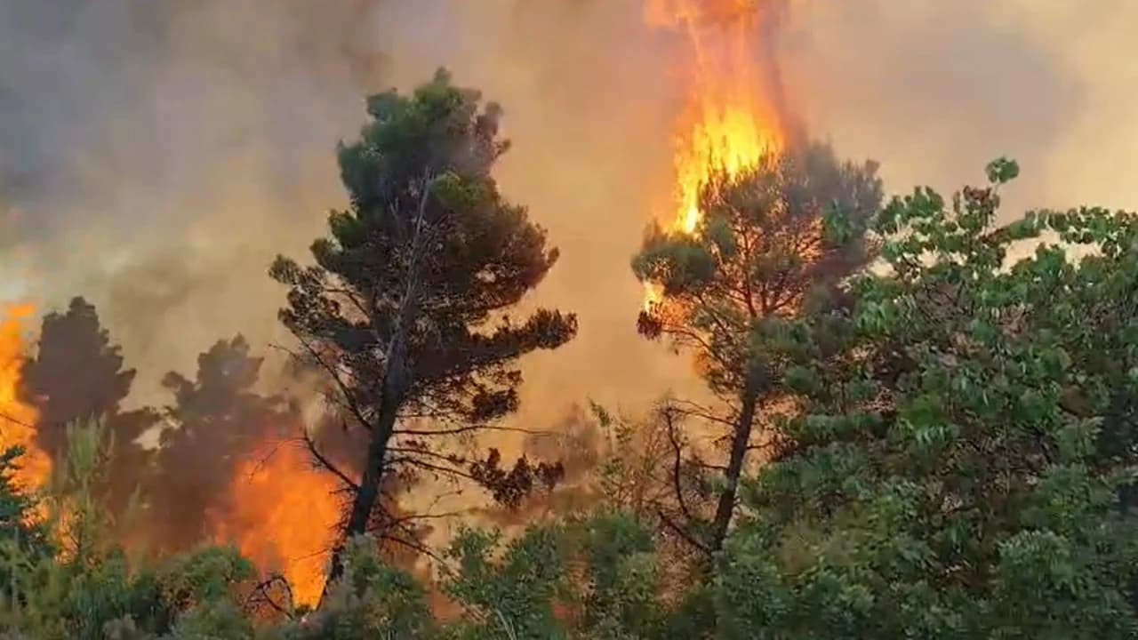 Shtatë vatra zjarri aktive në vend/ Situata problematike në Mallakastër dhe Gjirokastër, vijon beteja me flakët në disa zona
