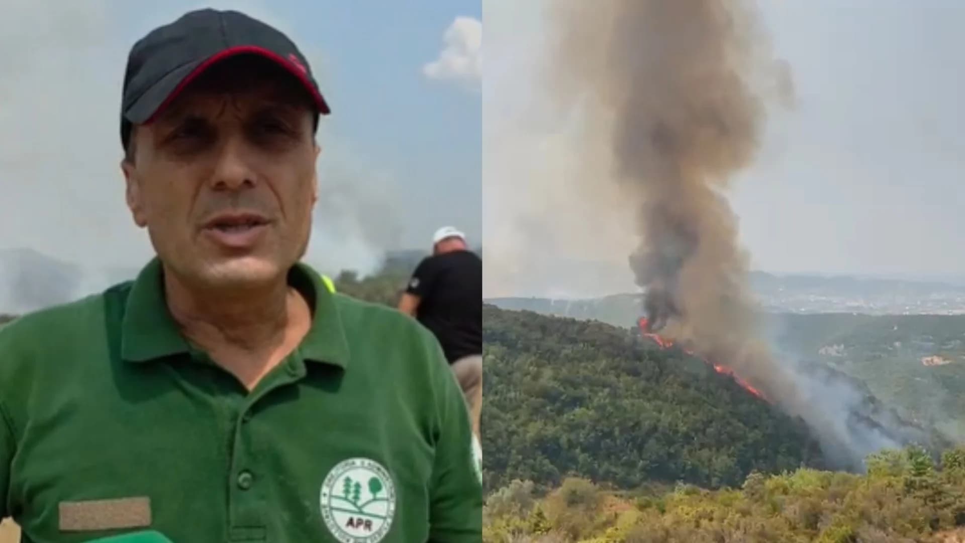 “Janë djegur rreth 20 hektarë”/ Zjarri në 4 fshatra në juglindje të Tiranës, inspektori i APR: Shumica janë pyje, ka dëme edhe në ullishte e vreshta