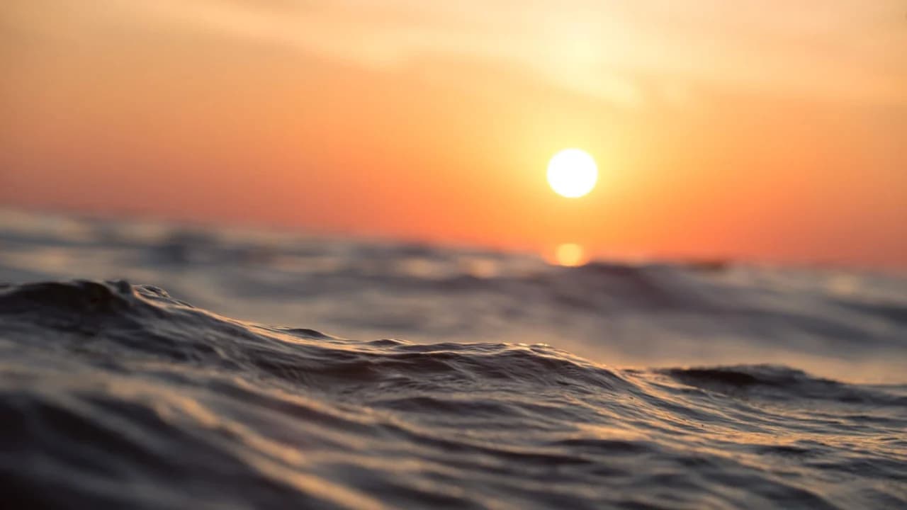 Nxehen oqeanet/ Temperatura mesatare arrin 21,1 gradë, niveli më i lartë i regjistruar