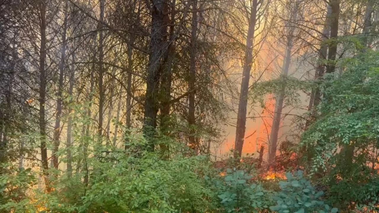 Zjarri në Drenije të Patosit avancon drejt Gjinoqarës dhe Ngracies, ndërhyrje edhe nga ajri