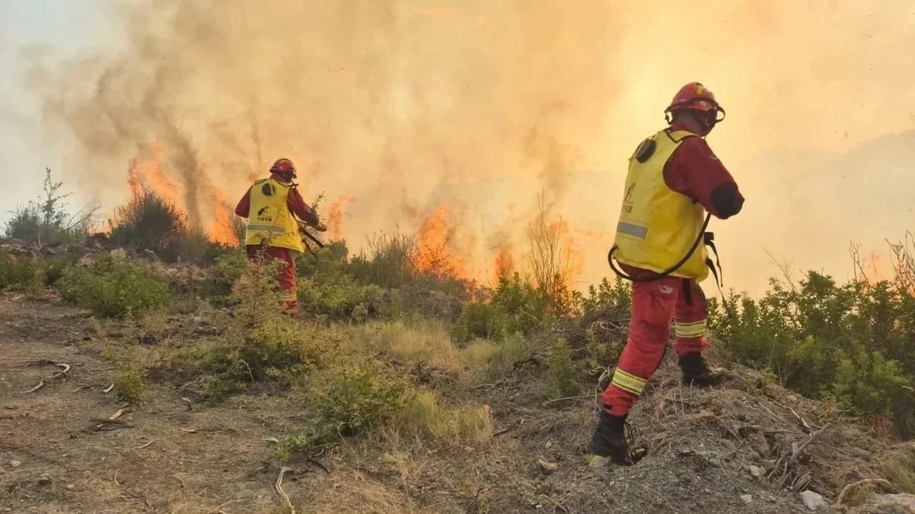 Zjarret në vend/ Raportohen 21 vatra në 24 orët e fundit, 6 ende aktive. Mbi 300 forca të angazhuara në terren