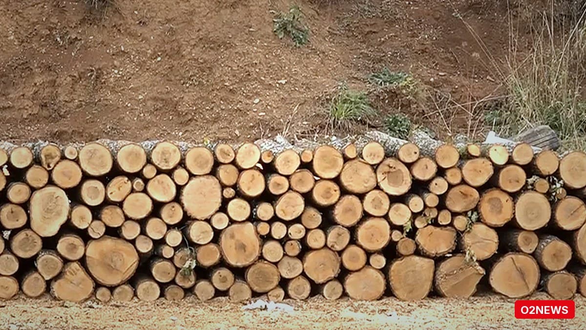 Prishtinë: Çmimi i druve ngrohës arrin 65–70 euro për m³; qytetarët e quajnë të papërballueshëm