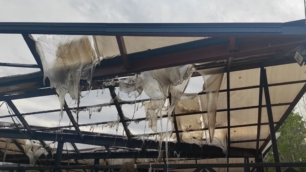 Dyshohet se i vuri zjarrin tregut të fruta-perimeve në Lushnjë, në pranga 48-vjeçari i shpallur në kërkim