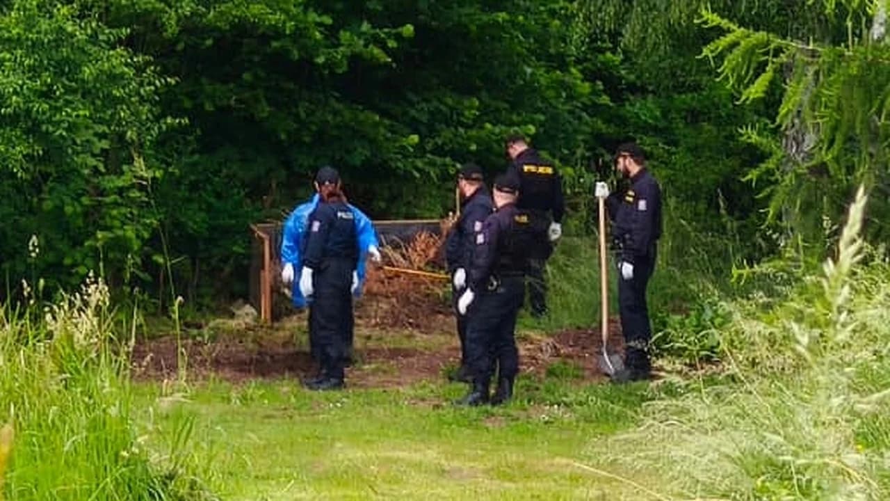 Horror në Çeki/ 35-vjeçarja vret foshnjën e porsalindur dhe trupin ua hedh qenve, si vjehrra zbuloi krimin makabër