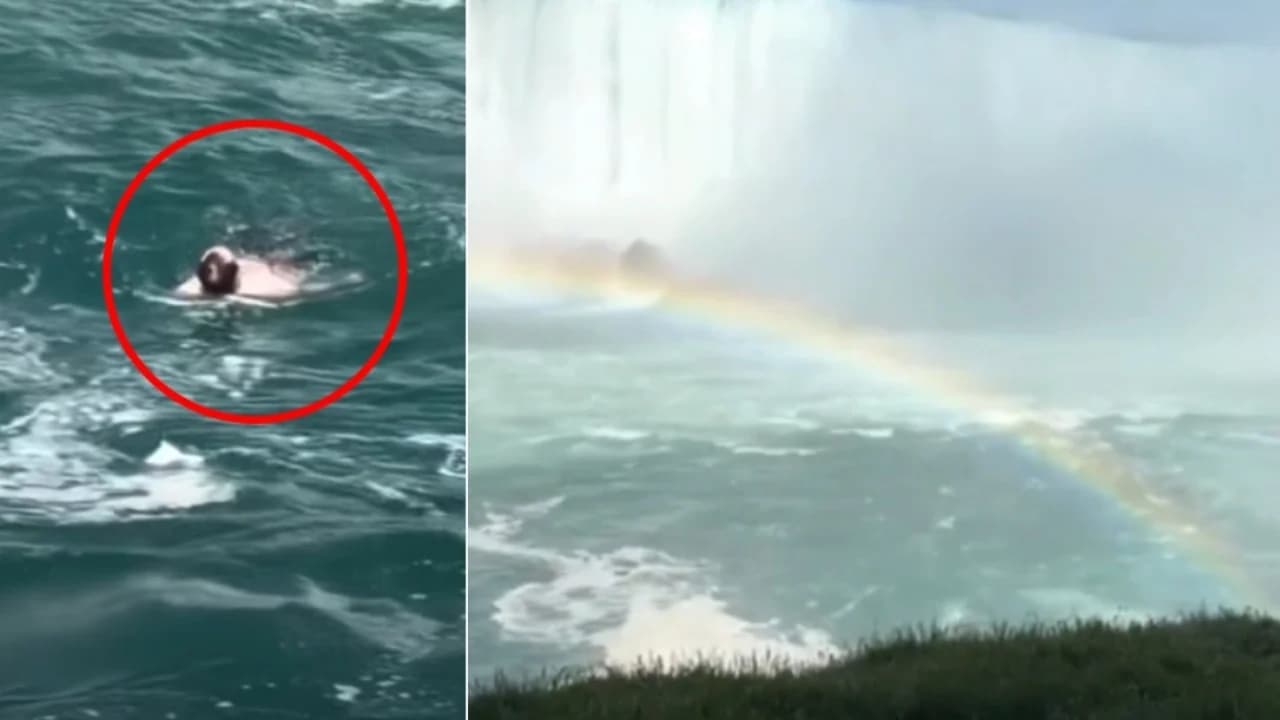 Burri rrëmbehet nga rrjedha e ujit në ujëvarat e Niagarës, i mbijeton rënies nga një lartësi prej 52 metrash