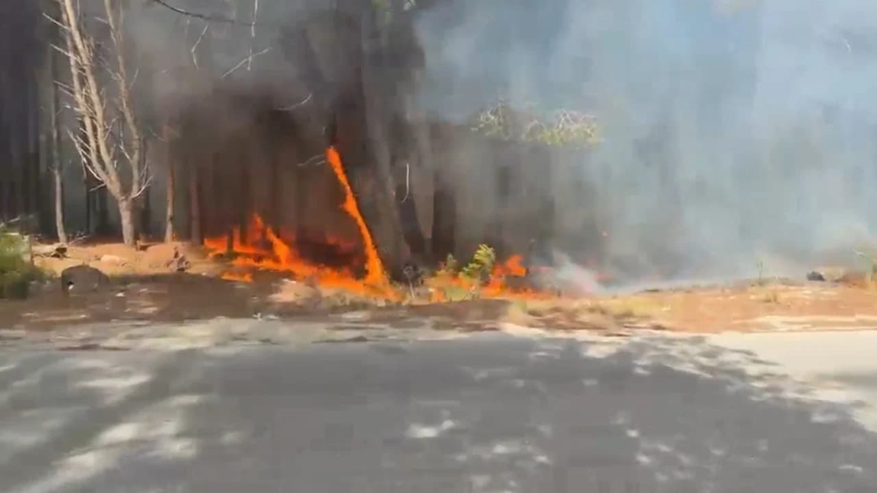 Zjarr i madh në Pyllin e Sodës në Vlorë, tymi mbulon qytetin, zjarrfikësit në luftë me flakët