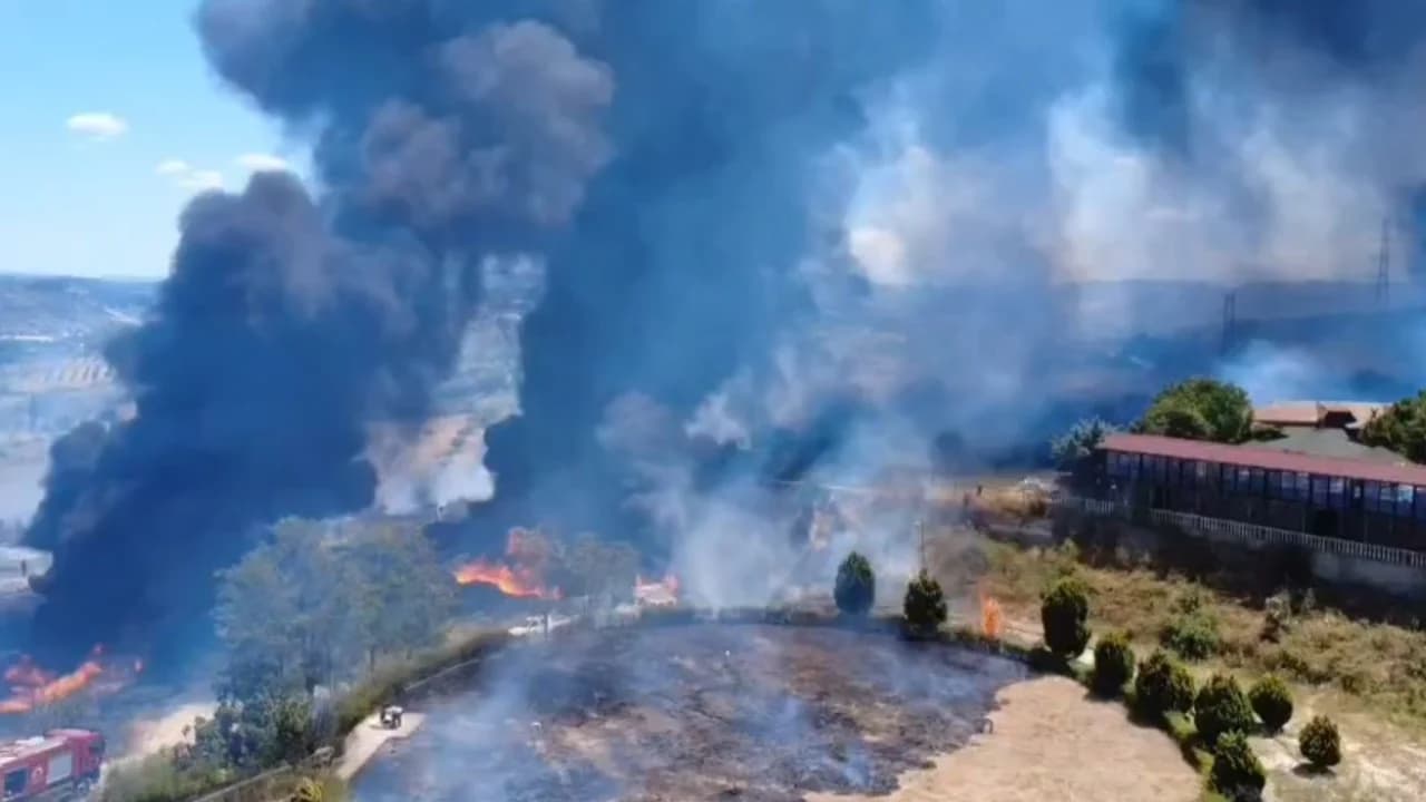 Zjarri në një sipërfaqe me ullishte në Drizë të Fierit, pritet ndërhyrja nga ajri