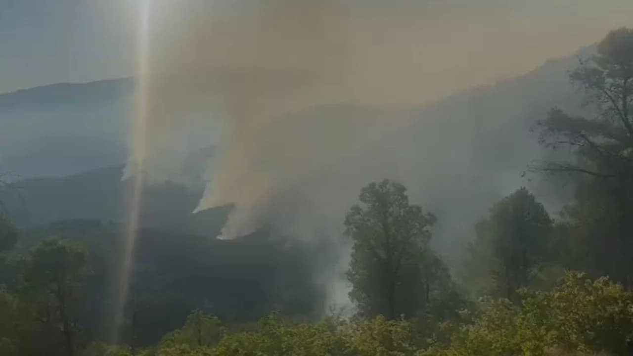 Vatra e zjarrit në Panahor ende aktive, 95 forca speciale të angazhuara në terren, ndihmë edhe nga ajri