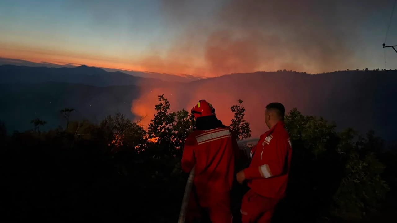Vijojnë zjarret në Lezhë dhe Mirditë/ Situata më problematike në fshatin Tenë, vatra aktive edhe në malin e Kashnjetit