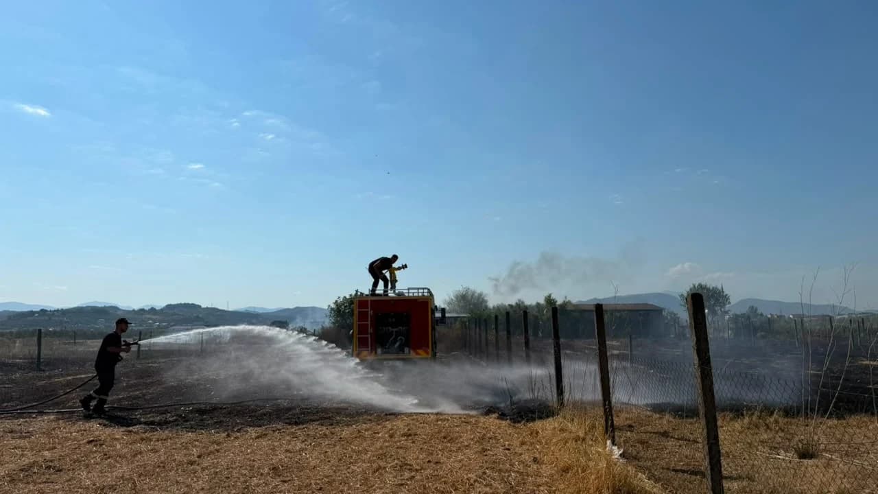Zjarr në periferi të qytetit të Cërrikut/ Flakët dogjën një parcelë me ullinj dhe rrezikuan një banesë, ndërhyjnë zjarrfikësit