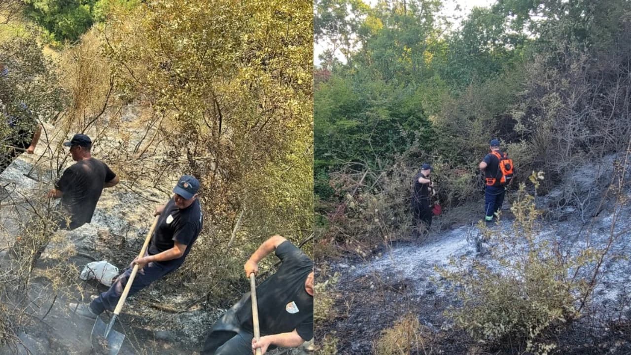 Dy vatra zjarri në Mallakastër dhe Patos, dhjetëra forca nisin operacionet për izolimin e flakëve