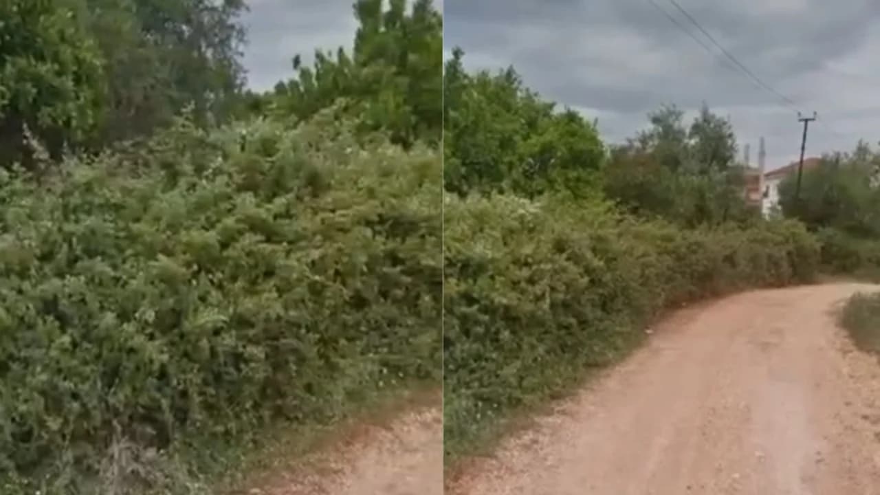 Vrasja e turistit në Ksamil/ Detaje nga gjetja e thikës që përdori Sokrat Vata, ja ku ishte hedhur mjeti prerës
