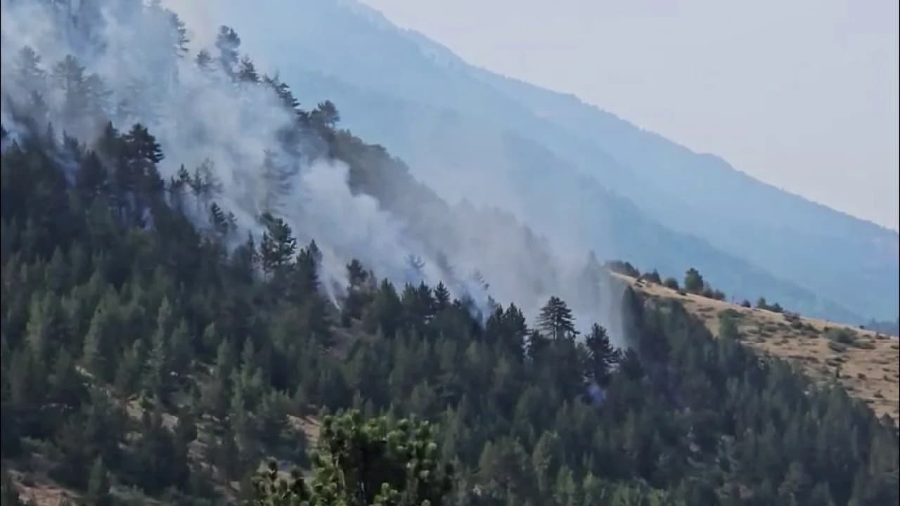 Digjen 300 hektarë pyje në Lurë/ Qindra emergjenca prej 4 ditësh në luftë me flakët nga toka dhe ajri, vatra aktive dhe në zonat e tjera