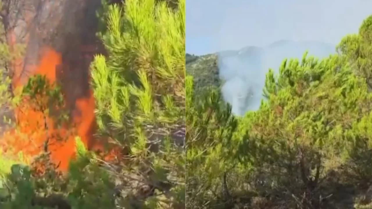 Zjarr në Rriban të Mallakastrës, flakët përfshijnë zonën pyjore