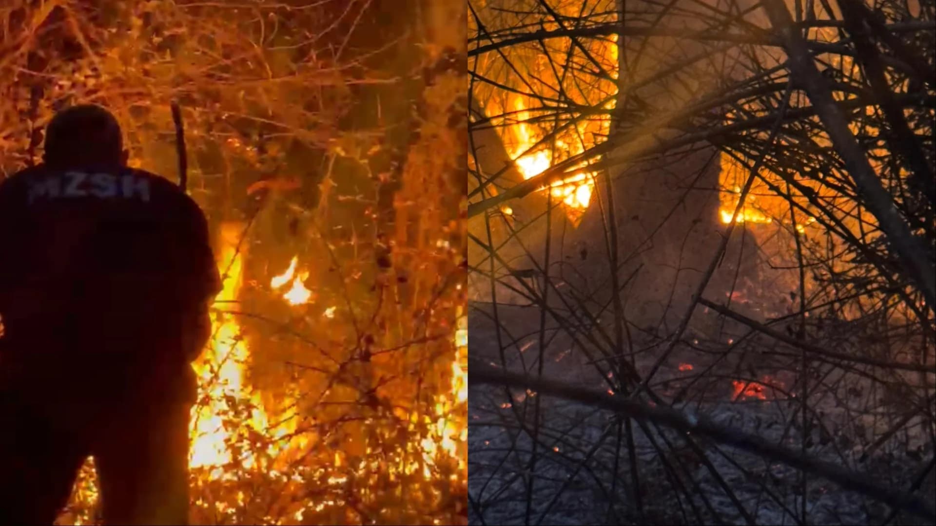 Alarm në Picar të Gjirokastrës, zjarri në zonën pyjore avancon kërcënueshëm drejt fshatit