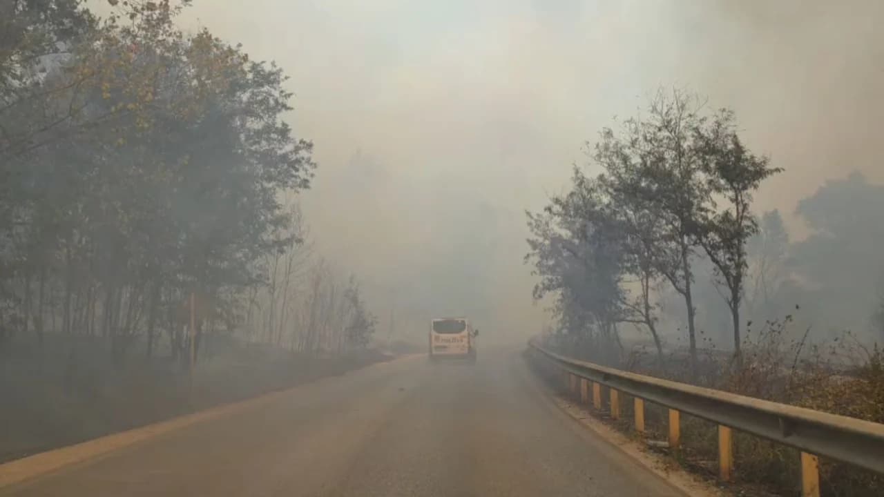 Zjarri i frikshëm në Qafën e Koshovicës, bllokohet qarkullimi në aksin Fier-Levan