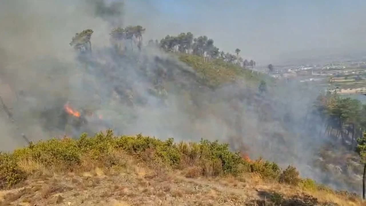 Zjarri vijon prej 24 orësh në Shkodër, flakët përfshijnë kodrat e Bardhajve, dhjetëra forca në terren