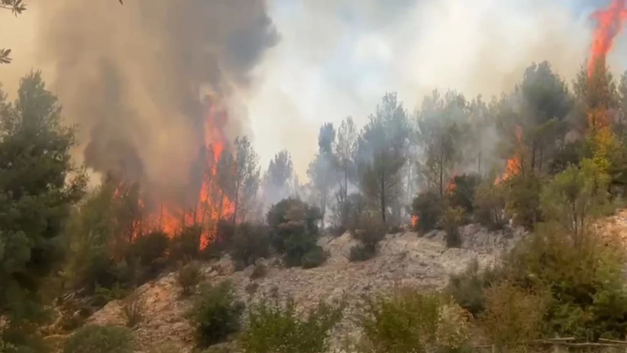 Zjarr në zonën pyjore të Grepsit në Nikël, ndërhyjnë forcat zjarrfikëse nga Kruja, Tirana dhe Kamza