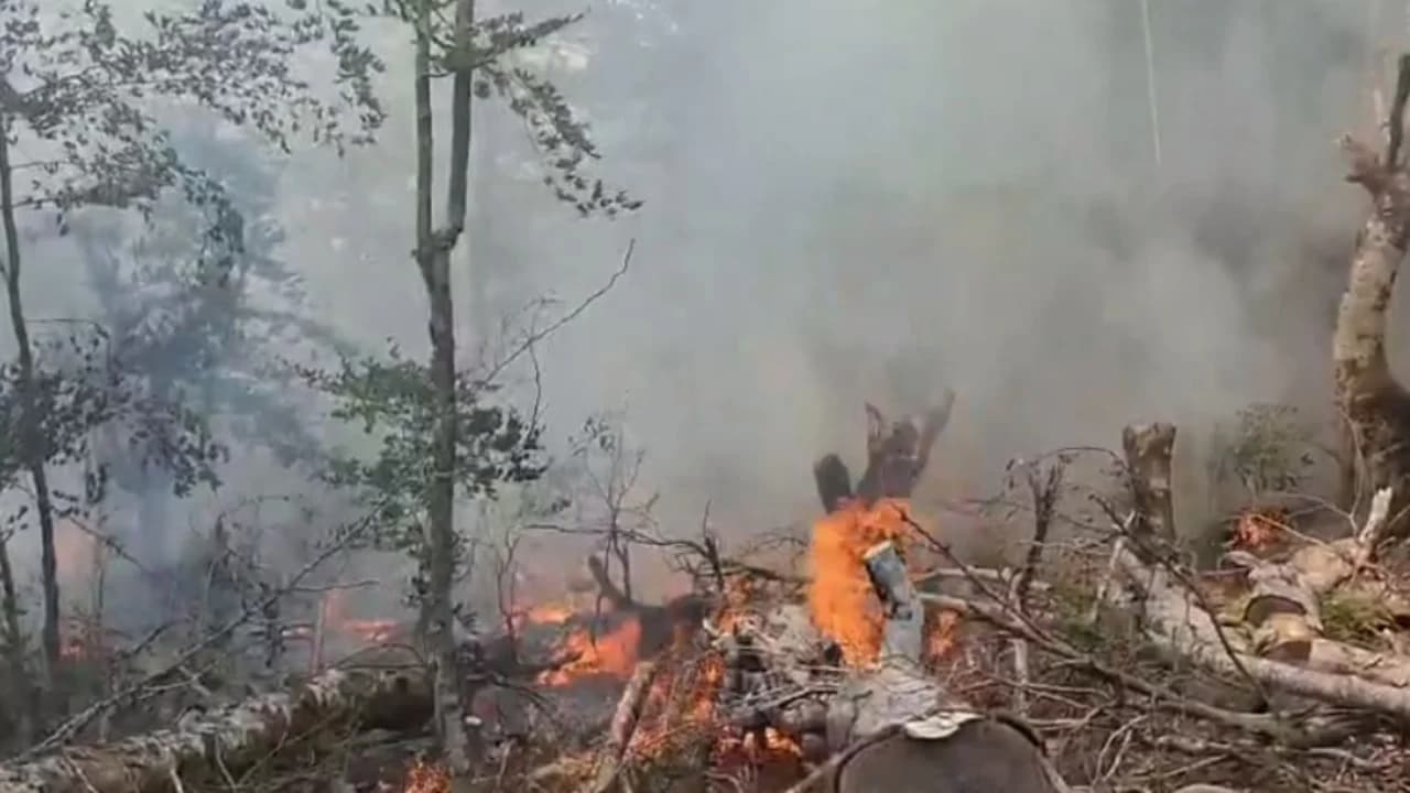 Vijon prej disa ditësh zjarri në Gjinar të Elbasanit, situata e vështirë nga përhapja e flakëve, banorët kërkojnë ndërhyrje nga ajri