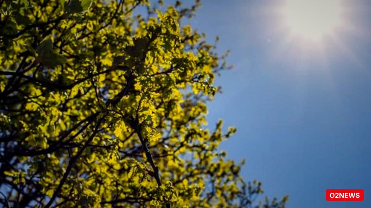 E diel me kthjellime në shumicën e vendit; deri në 23°C, erë e lehtë dhe det i qetë